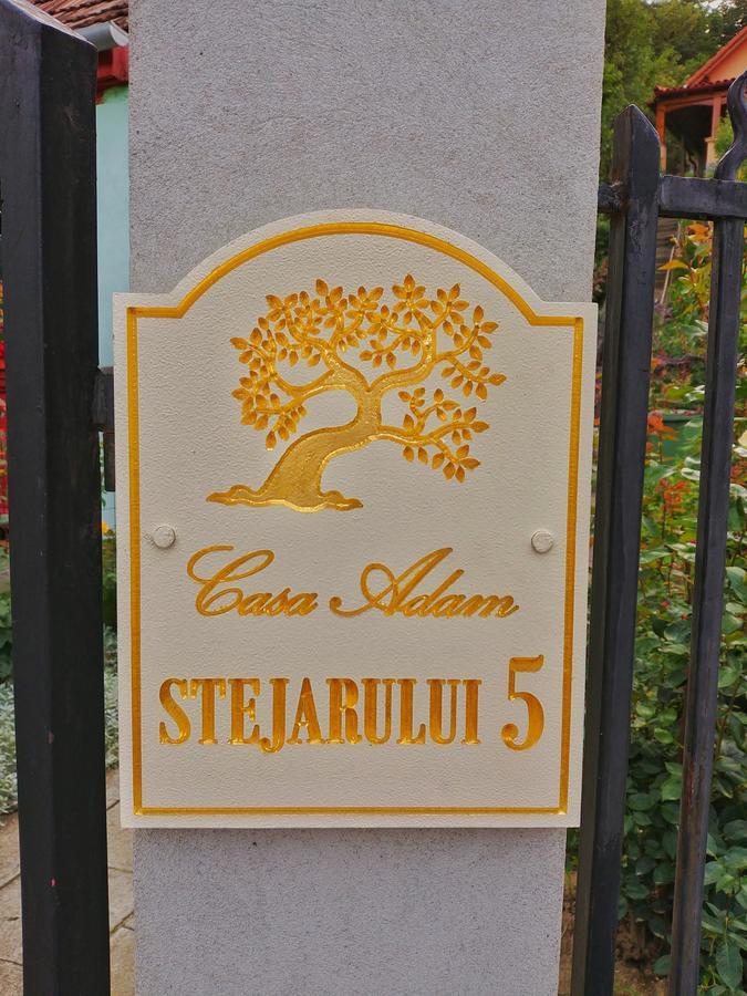 Casa Adam 호텔 시기쇼아라 외부 사진